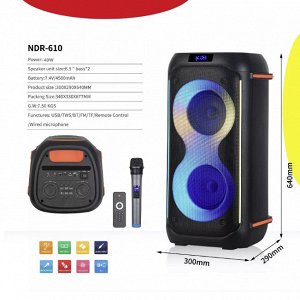Портативная колонка с микрофоном Karaoke Speaker System NDR-610