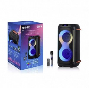 Портативная колонка с микрофоном Karaoke Speaker System NDR-610
