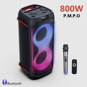 Портативная колонка с микрофоном Karaoke Speaker System NDR-610