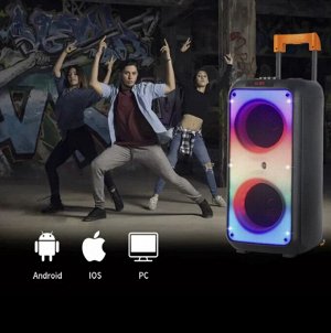 Портативная колонка с микрофоном Bocina Para Celular  NDR-1095