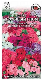 Флокс Красивый гном /Сотка/ 0,2г/ смесь h-20см, d-2см