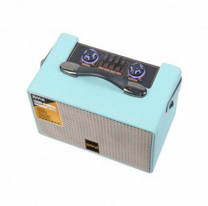Портативная колонка с микрофоном Portable Sound System  B-V6