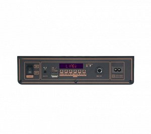 Портативная колонка с микрофоном Portable Sound System  B-V6