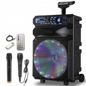 Портативная колонка с микрофоном  Kimiso QS-1208