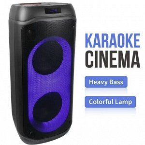 Портативная колонка с микрофоном  Powerful Bass Boost NDR-810