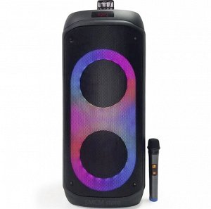 Портативная колонка с микрофоном  Powerful Bass Boost NDR-810