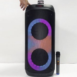 Портативная колонка с микрофоном  Powerful Bass Boost NDR-810