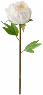 ИКЕА Искусственный пион СМИККА 90409730, 30 см белый