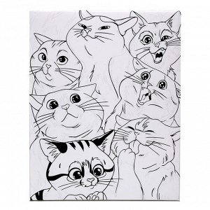 Картина по номерам на холсте «Яркие котики», 40х50 см