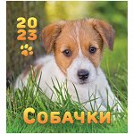 Календарь-домик 108*120мм, ЛиС &quot;Собачки&quot;, на гребне, 2023г