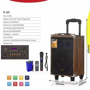 Портативная колонка c микрофоном B-Q8