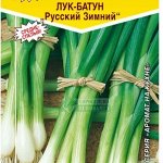 Лук