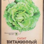 Салат