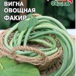 Фасоль