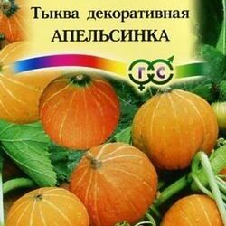 Апельсинка кабачок фото отзывы