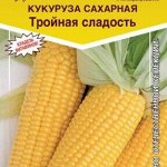 Кукуруза