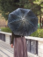 Зонт женский, полный автомат [637294-5]