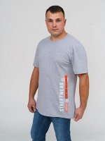 Футболка мужская Норд серый меланж