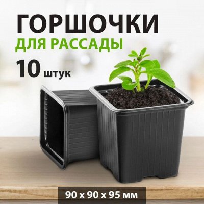ЦВЕТУЩИЙ САД: Открываем дачный сезон
