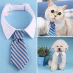 Бабочки/галстуки для кошек и собак