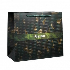 Пакет ламинированный горизонтальный «Present», ML 27 × 23 × 11,5 см