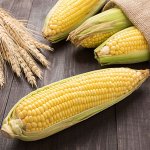 Кукуруза сахарная Горячие ребята