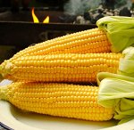 Кукуруза сахарная Фернандо