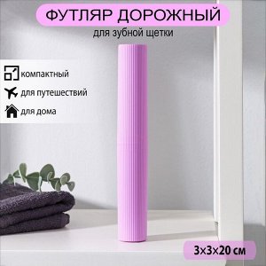 Футляр для зубной щётки и пасты Доляна, 20 см, МИКС