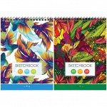 Скетчбук-блокнот 60л. А5 на гребне ArtSpace &quot;Imagination&quot;, 120г/м2