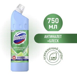 NEW ! Domestos универсальное чистящее средство-гель освежающий цитрус антиналет + блеск 750 мл