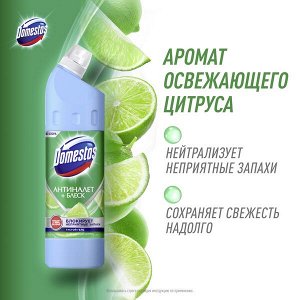 NEW ! Domestos универсальное чистящее средство-гель освежающий цитрус антиналет + блеск 750 мл