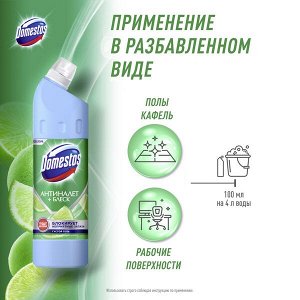 NEW ! Domestos универсальное чистящее средство-гель освежающий цитрус антиналет + блеск 750 мл