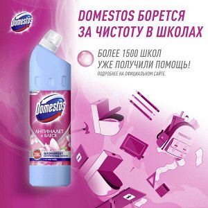 NEW ! Domestos универсальное чистящее средство-гель цветущая магнолия антиналет + блеск 750 мл