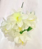 Букет цветов Крокуса