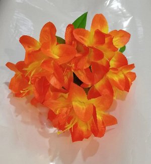 Букет цветов Крокуса