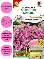 Сапонария Мыльный корень