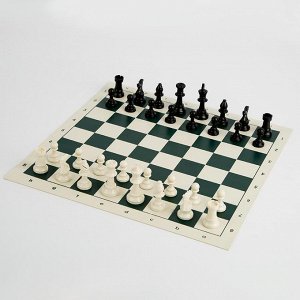 Игра настольная "Шахматы" С24-009