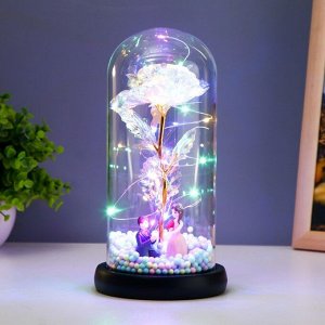 Фигурка светящаяся колба RISALUX «Влюблённая пара», LED-ночник, от батареек 3xААА, 11x11x22 см