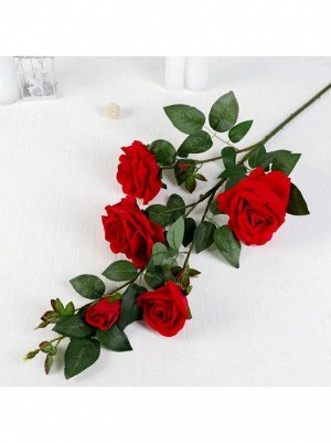 Роза красная куст 12 х 100 см