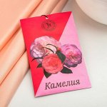 Саше ароматическое &quot;Камелия&quot;, 10 г, &quot;Богатство Аромата&quot; 7723337