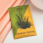 Саше ароматическое &quot;Свежая трава&quot;, 10 г, &quot;Богатство Аромата&quot; 7723341