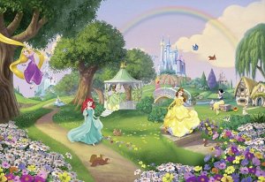 Disney Princess Rainbow
