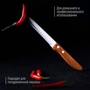 Нож кухонный Доляна «Эльбрус», лезвие 11,5 см