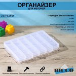 Органайзер для хранения пластиковый RICCO, 24 отделения, 19,5?13,5?2 см, цвет МИКС