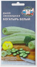 Дыня Армянский огурец &#039;Богатырь белый&#039; (Код: 69822)