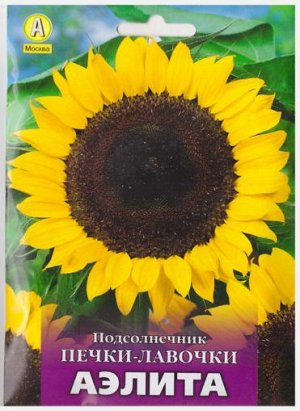 Подсолнечник Печки лавочки (Код: 4027)