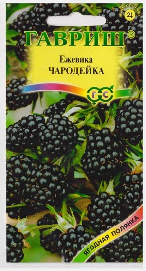 Ежевика Чародейка (Код: 72059)