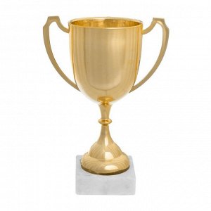 Кубок 117, наградная фигура, золото, подставка пластик, 17,1 x 12 x 6 см