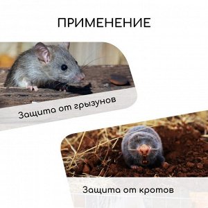 Сетка оцинкованная, сварная, 10 ? 1 м, ячейка 12,5 ? 12,5 мм, d = 0,6 мм, Greengo