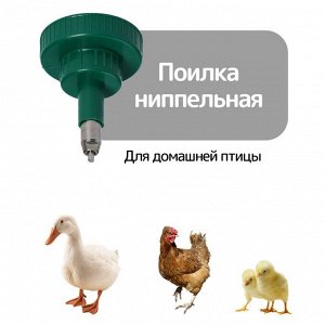 Поилка ниппельная для домашней птицы, под бутылку 0.5 и 5 л